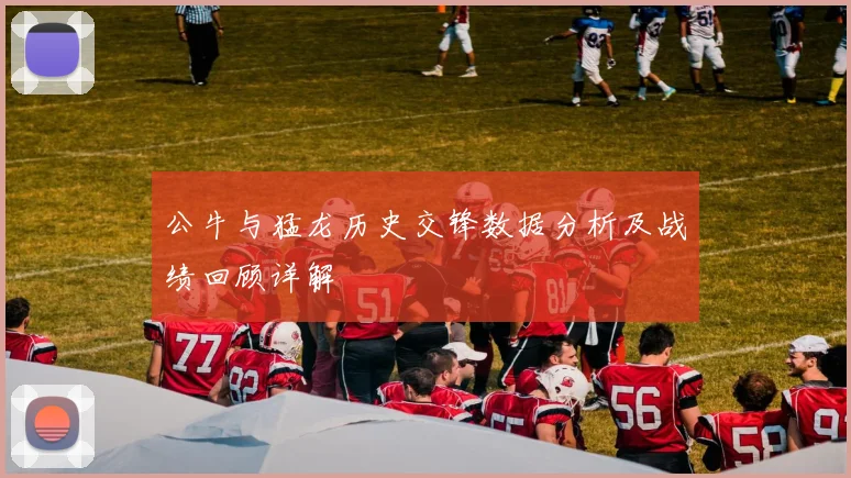 公牛与猛龙历史交锋数据分析及战绩回顾详解