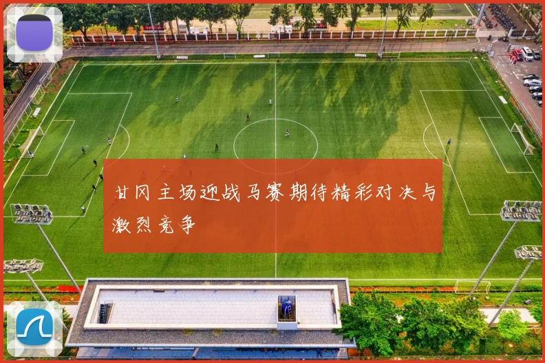 甘冈主场迎战马赛期待精彩对决与激烈竞争