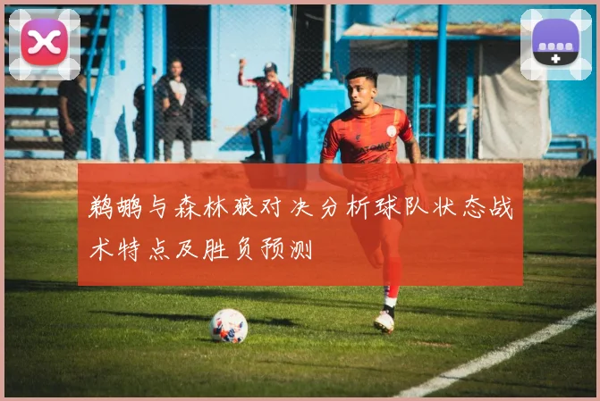 鹈鹕与森林狼对决分析球队状态战术特点及胜负预测